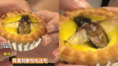 廣東驚見「油炸水蟑螂蛋塔」!老闆喊鹹甜交織 竟吸大批人搶買