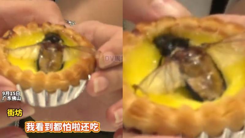 中國廣東佛山餐廳推出「水蟑螂蛋塔」,特殊外觀引發關注。(圖/翻攝自新快報)
