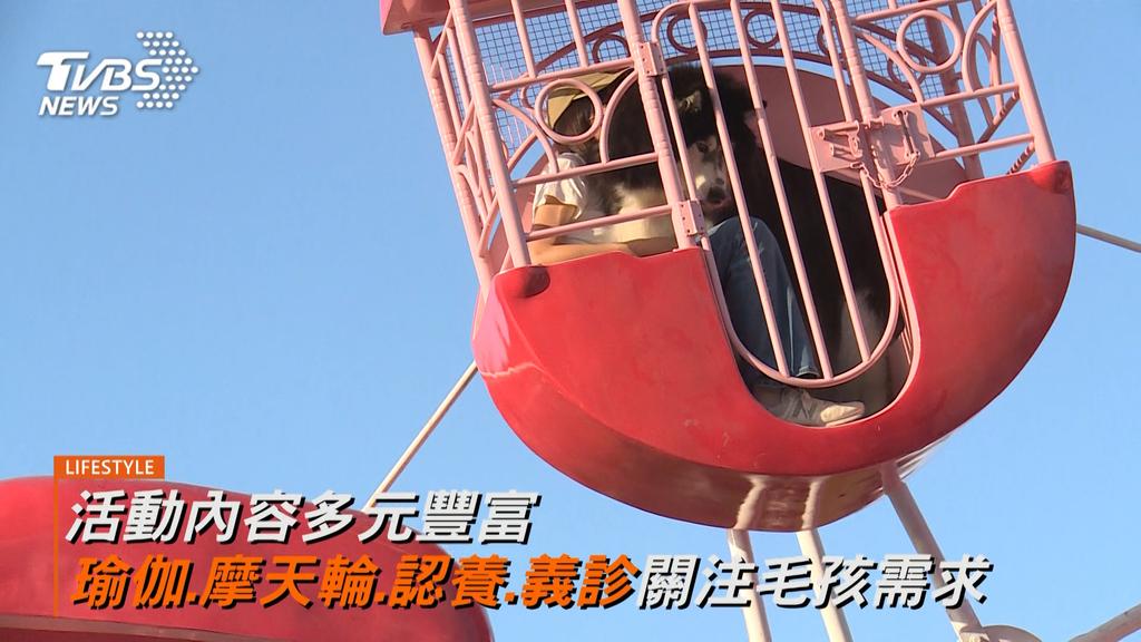 （圖／其他）