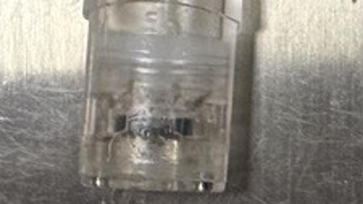 萬華男當街施暴逃入旅館!警追緝搜出毒品 傷害罪外再加一條