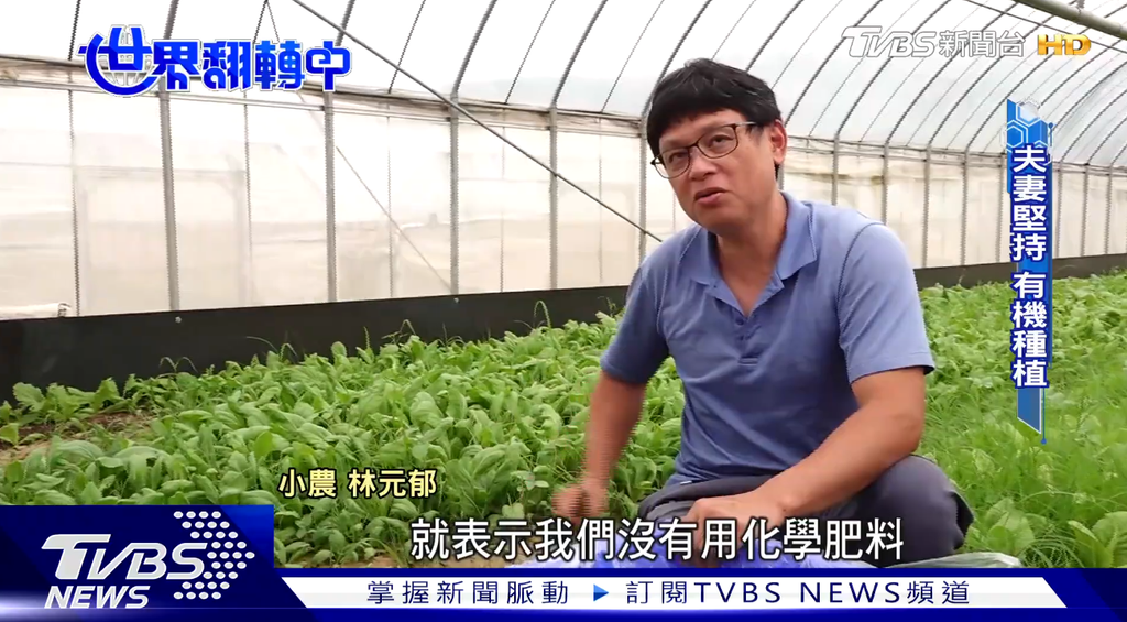 （圖／TVBS）