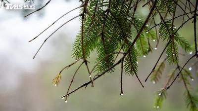 霜降節氣到!專家曝「2顏色」加持大轉運 這2處堆雜物恐擋財路