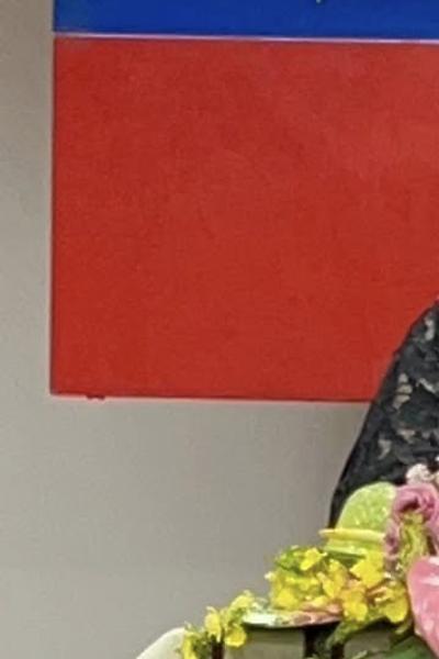 選前「棄綠投藍」!秀林鄉代會主席退出民進黨 親宣加入國民黨