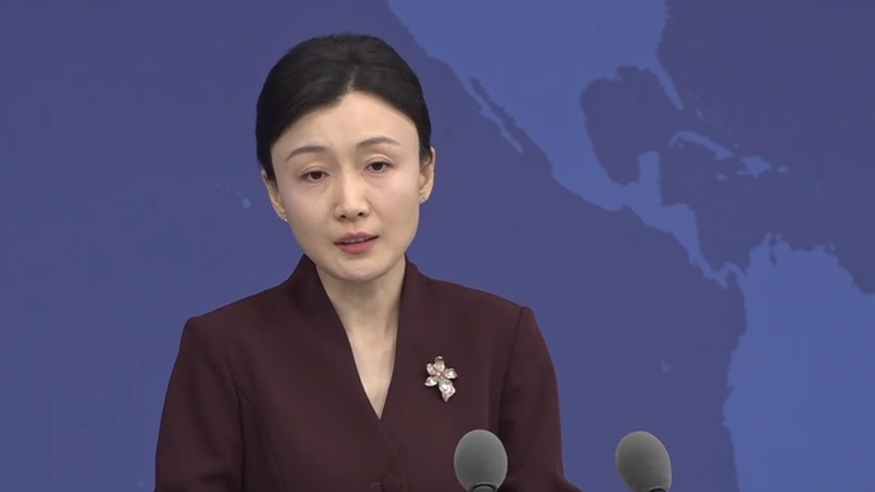 中國國台辦發言人張晗。(圖/中國網)