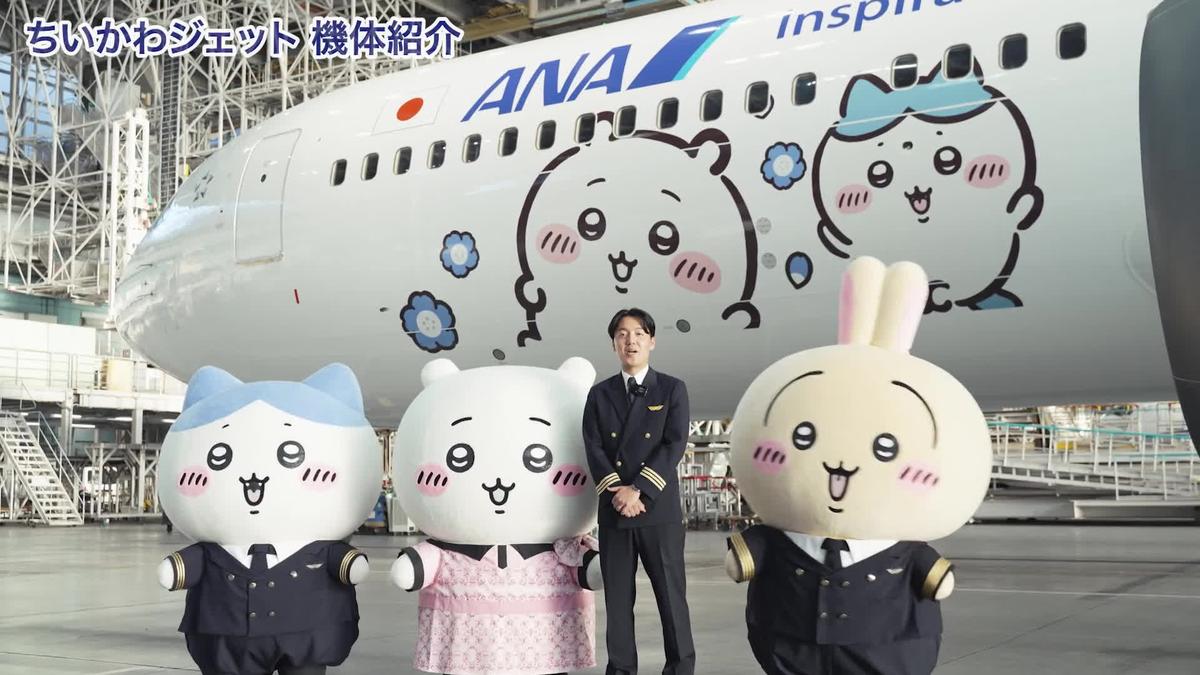 日籍航空推吉伊卡哇彩繪機!周邊未開賣先禁海外 台粉絲氣炸