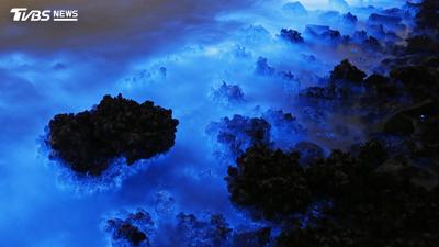 聚焦東南亞/泰國格蘭島海水驚變濃綠汁!夜光蟲暴增恐釀海洋死區
