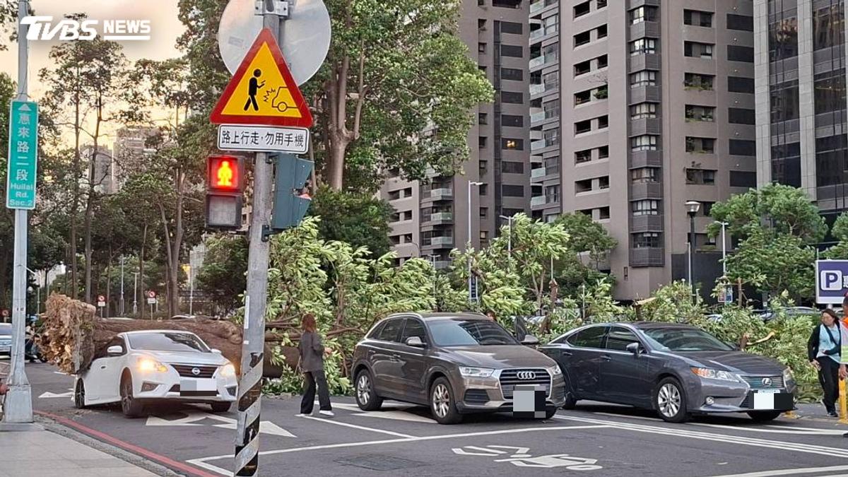 快訊/薔琵進逼!台中新光三越前路樹倒塌連砸2車畫面曝