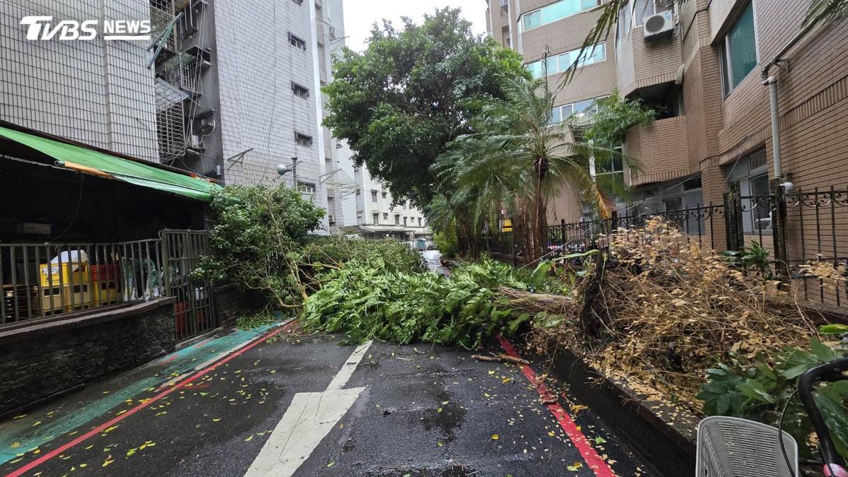 中颱薔琵強襲!全台釀「1死350傷」 撤離逾4000人
