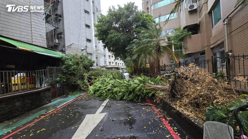 颱風薔琵襲台,截至今晚間7時30分一般災情共3671件,以路樹倒塌、民生基礎設施災情如電線掉落等最多。(圖/TVBS)