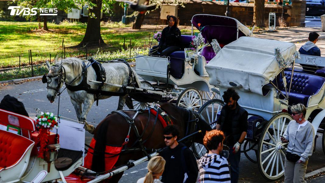 中央公園的馬車觀光,是各國遊客來到紐約的「必體驗行程」。(圖/達志影像路透社)