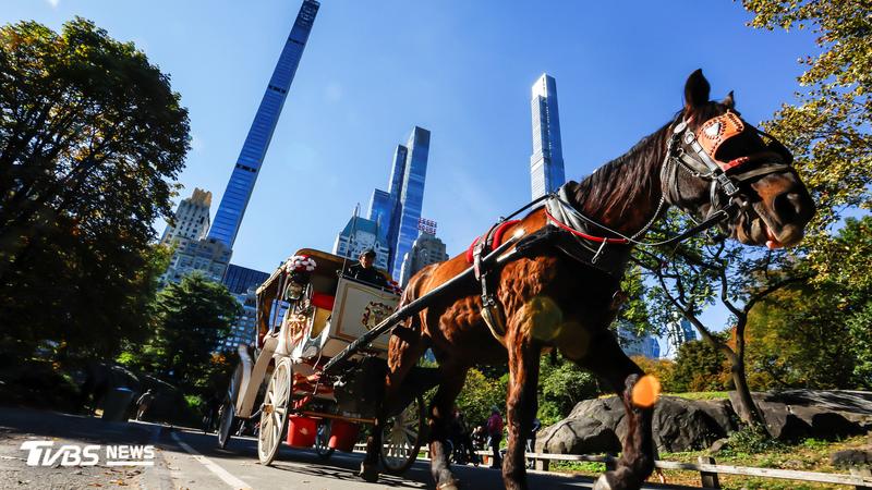 美國紐約標誌性的浪漫,擁有百年歷史的中央公園觀光馬車,將於2028年6月走入歷史。(圖/達志影像路透社)