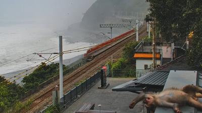 薔琵颱風巨浪襲台東 鏡頭君爆笑直擊「獼猴大兄」頂風躺平打滾