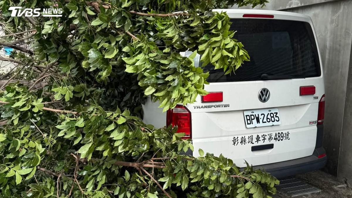 薔琵颱風狂吹!彰化20米巨樹倒塌重壓救護車 雙向交通中斷