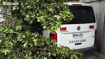 薔琵颱風狂吹!彰化20米巨樹倒塌重壓救護車 雙向交通中斷