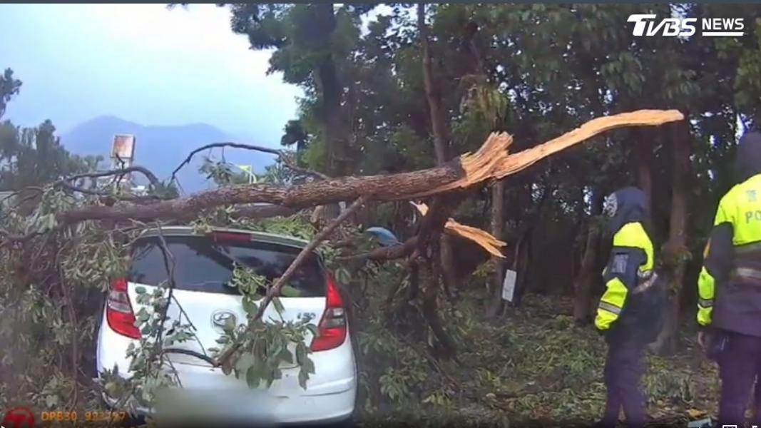 愛車遭倒塌路樹砸中,車主與警方合力將其移走。(圖/TVBS)
