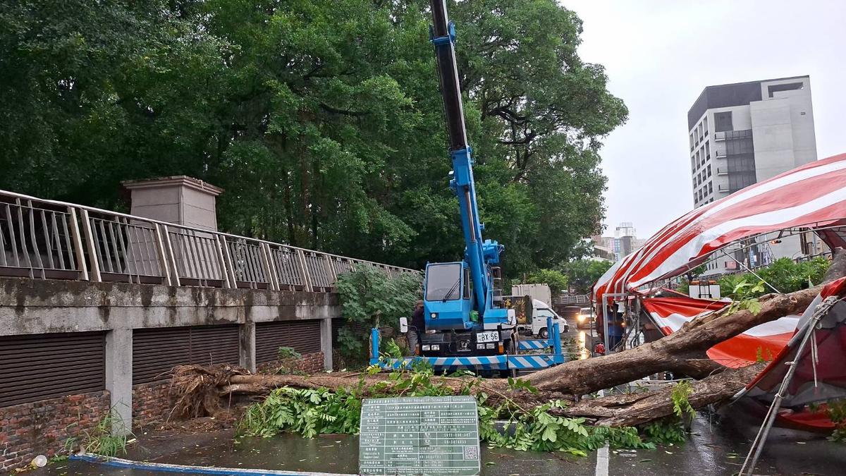 9級風吹倒大樹砸桌椅 廟方移位繼續吃辦桌