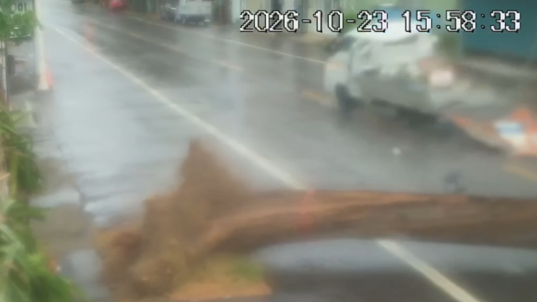高雄強風吹倒路樹,砸中行經的小貨車,導致車輛失控撞上民宅大門釀兩傷。(圖/TVBS)