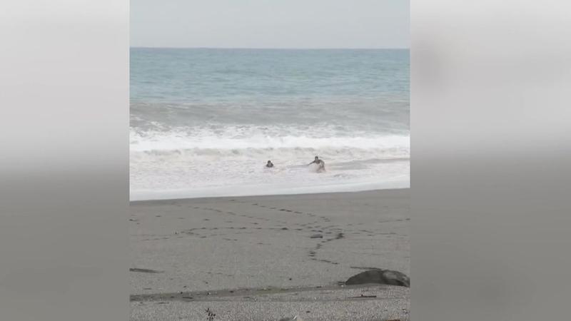 台東太麻里曙光園區出現兩名男子在5米高浪中戲水,一度險遭滅頂。(圖/TVBS)(圖/Threads:chenghan0228)