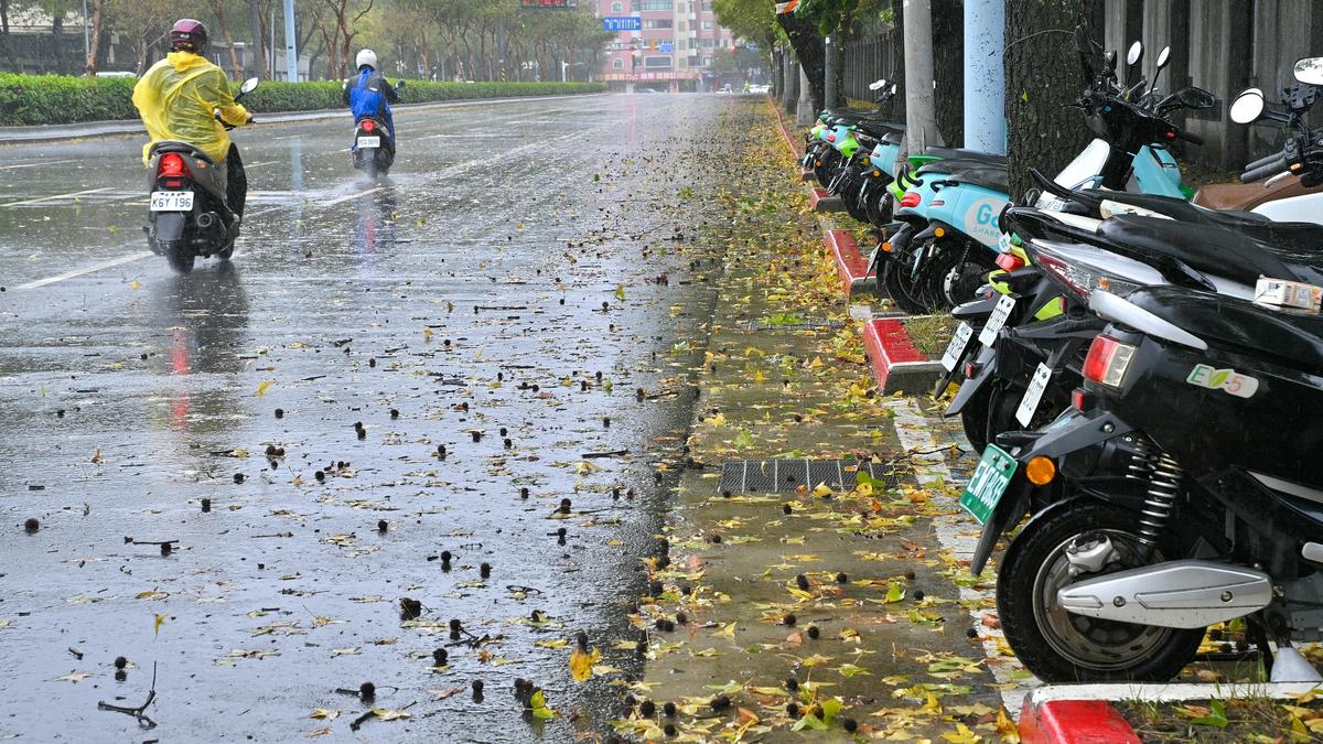 颱風後清家園當心!別徒手赤腳 碰污水、污泥恐染病