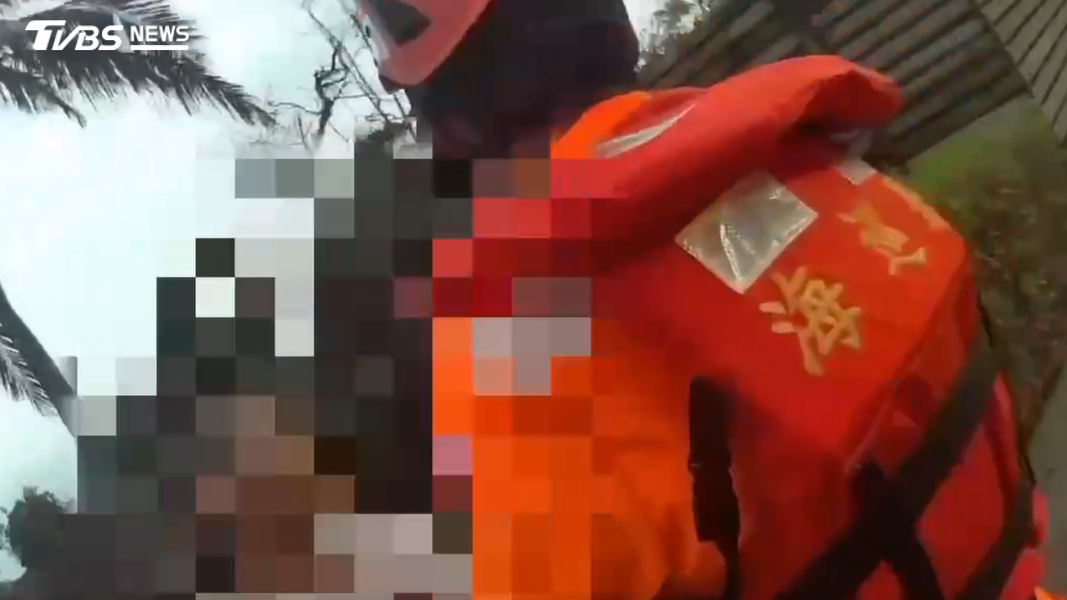 岸巡人員圍捕過程中遭蜂群螫咬送醫。(圖/TVBS)