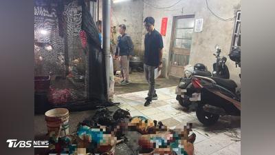 颱風天破鹿港恐怖屠宰場!6大冰櫃藏18公斤疑狗肉 滿地血水毛髮