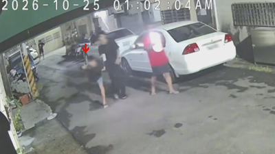 4少年半夜丟活黃鱔整狗! 嘉義婦違規餵鴿竟稱「神明准了」