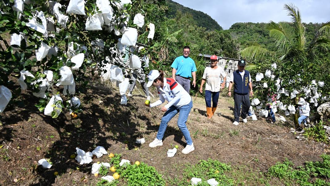 (圖/吳秀華競選辦公室)