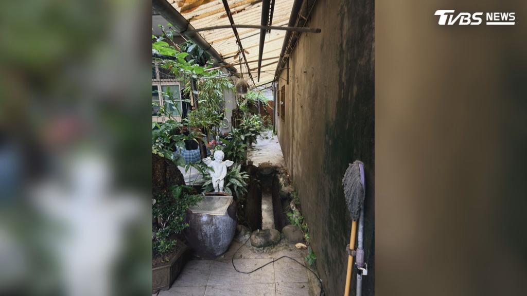 附近住戶控訴，這戶人家占用土地已長達40年之久，內部宛如小型花園，擺放了數盆植栽。（圖／TVBS）