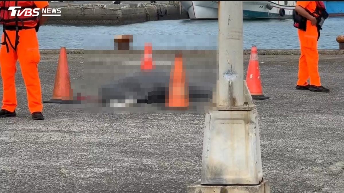 薔琵剛走...父子基隆垂釣遭瘋狗浪捲走 父落海多日今尋獲遺體