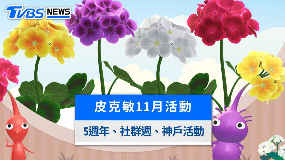皮克敏11月活動懶人包》天竺葵社群日、5週年與神戶線上挑戰攻略