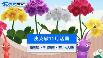 皮克敏11月活動懶人包》天竺葵社群日、5週年與神戶線上挑戰攻略