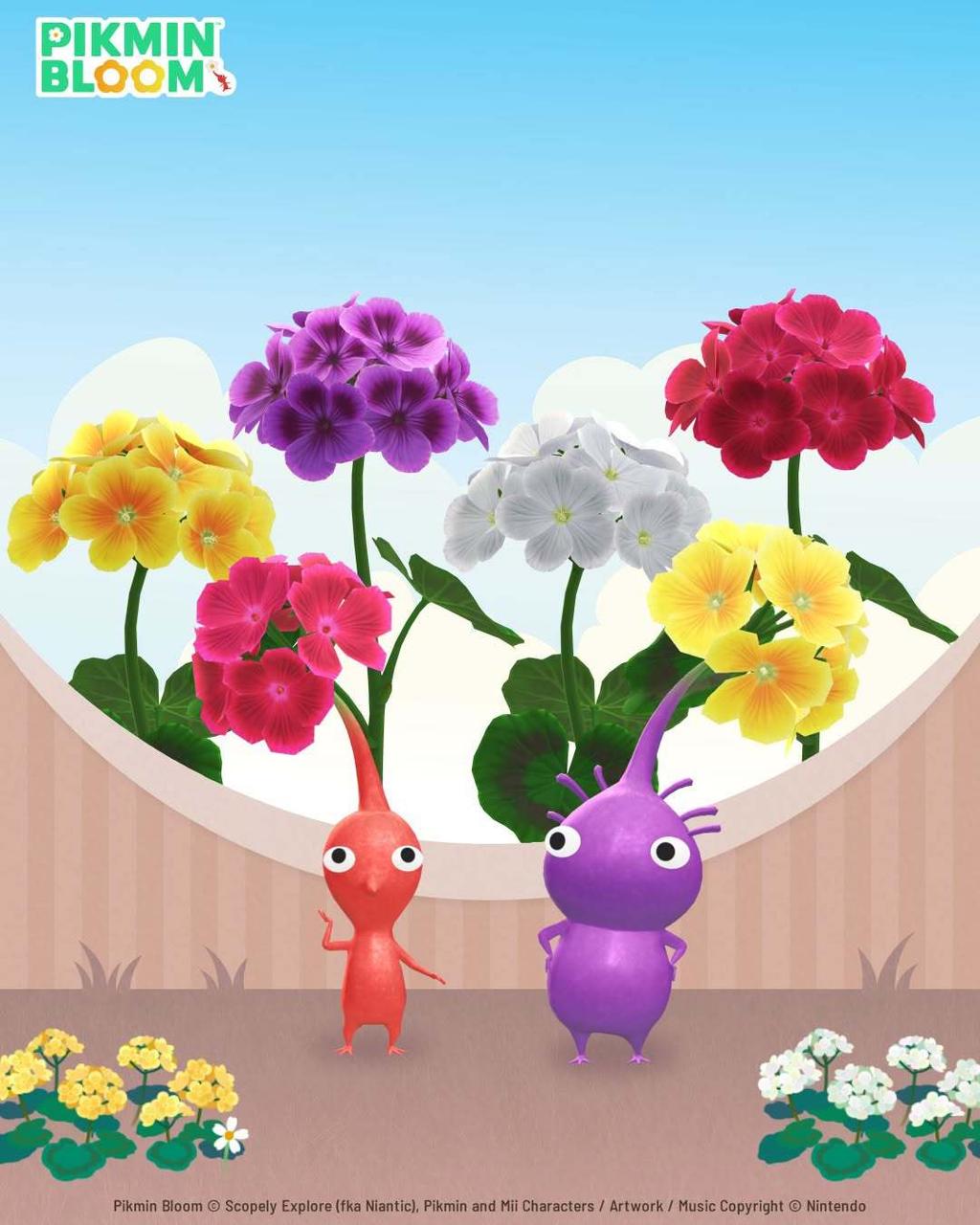 皮克敏11月活動-Pikmin Bloom 2026-皮克敏社群日-皮克敏天竺葵-皮克敏5週年-皮克敏社群週-皮克敏萬步徽章-Pikmin Bloom神戶活動-皮克敏各地挑戰-皮克敏11月活動時間