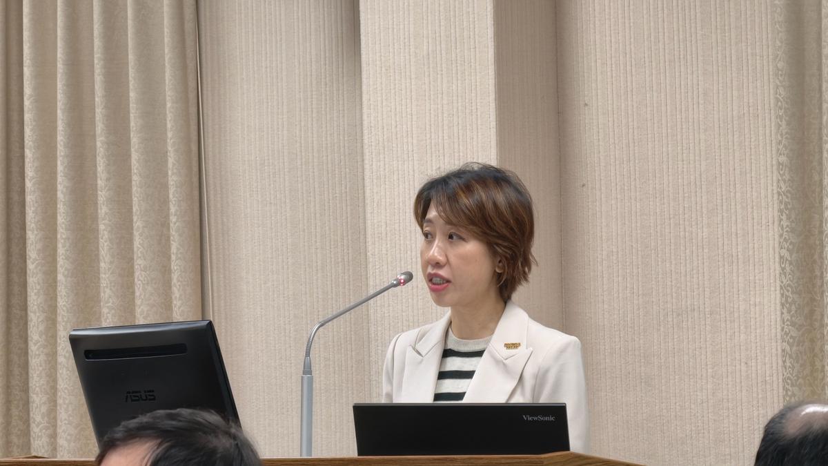 徐佳青慶生爭議未解!白委連環追問 轟李妍慧備詢「一問三不知」