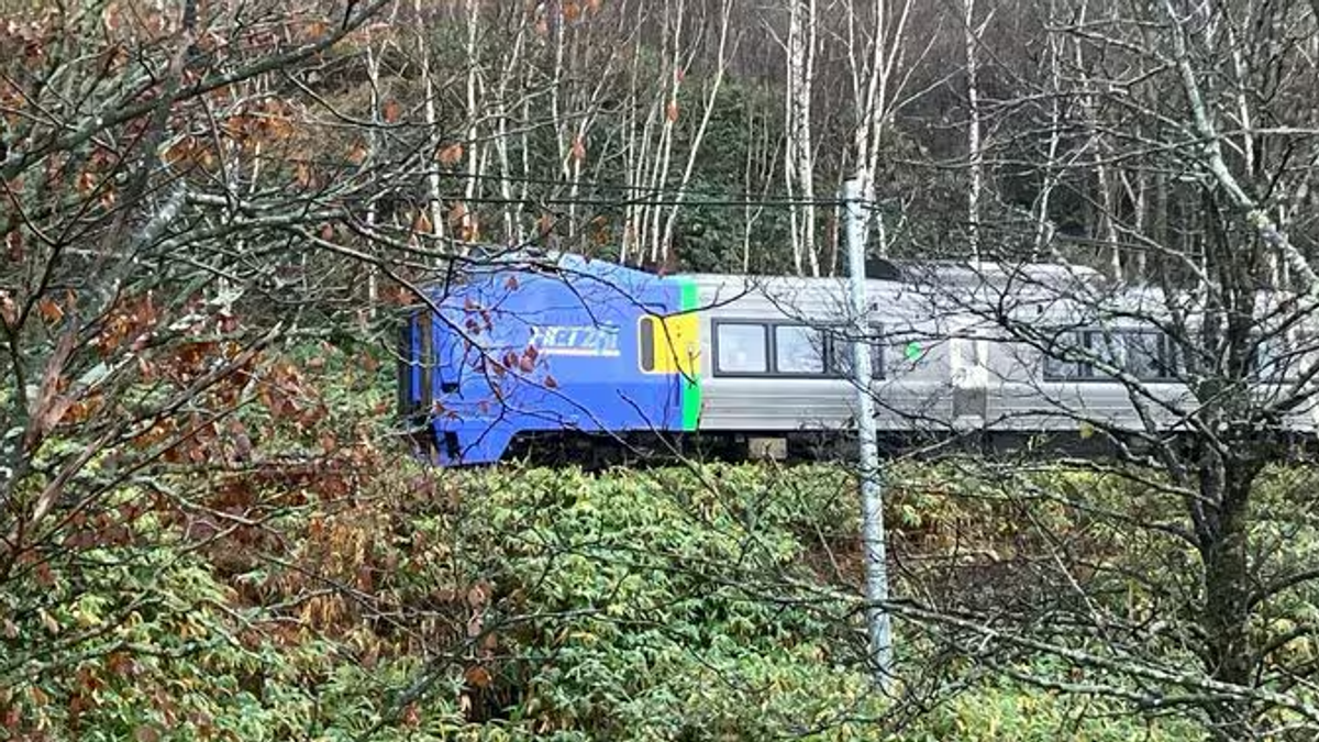 北海道JR撞棕熊卡車底!32乘客困車內一夜 JR宣布暫時停駛