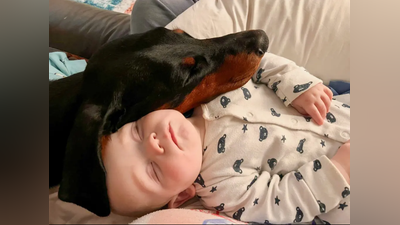 愛犬狂黏6月大嬰兒!一抱走就哀嚎 竟救了寶寶一命