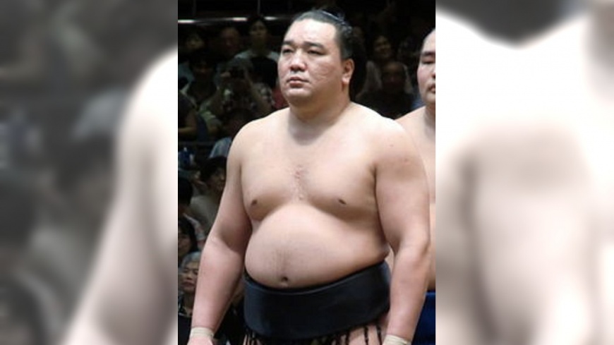 相撲橫綱日馬富士 動手打人、宣布引退