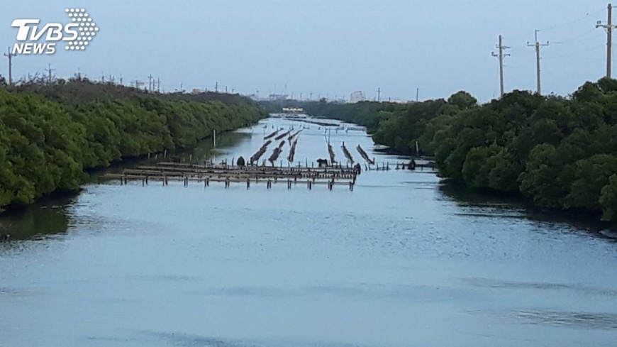 七股養殖區種綠電 陳亭妃籲政策說清楚