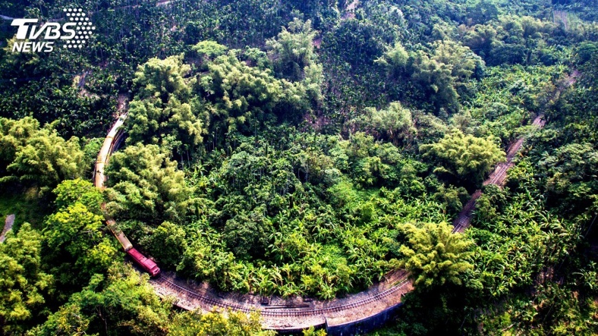體驗郵輪式森鐵 放慢腳步探索阿里山