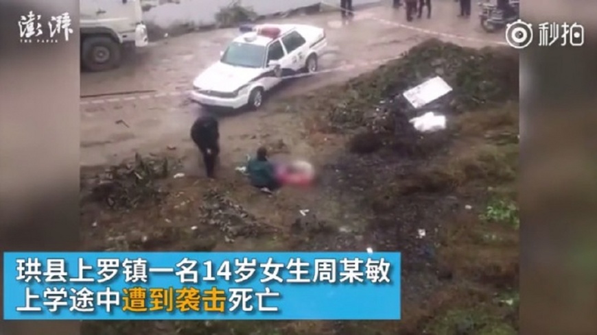 少女慘遭砍殺 目擊同學:霧霾太濃沒看到兇手