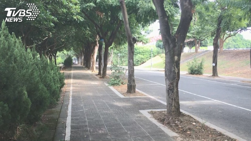 快訊/抓到了!電擊中正女大生嫌犯 5天速落網