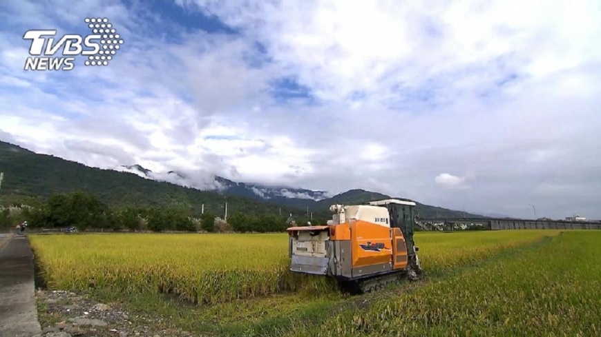 農地違章工廠 高市4日開鍘