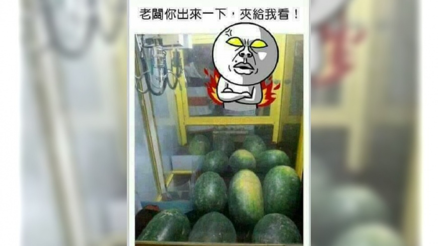 來亂的!夾娃娃機內放大西瓜 網笑:老闆夾給我看
