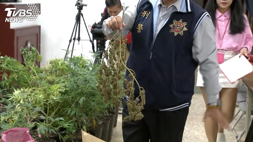 《門徒》翻版!斷線販售大麻 「大師」栽了