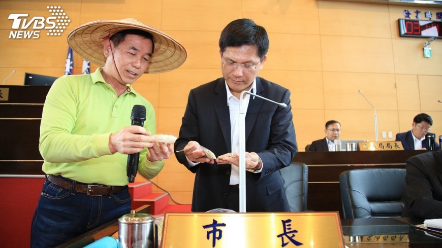 再生稻公糧不收購 中市府將建議恢復