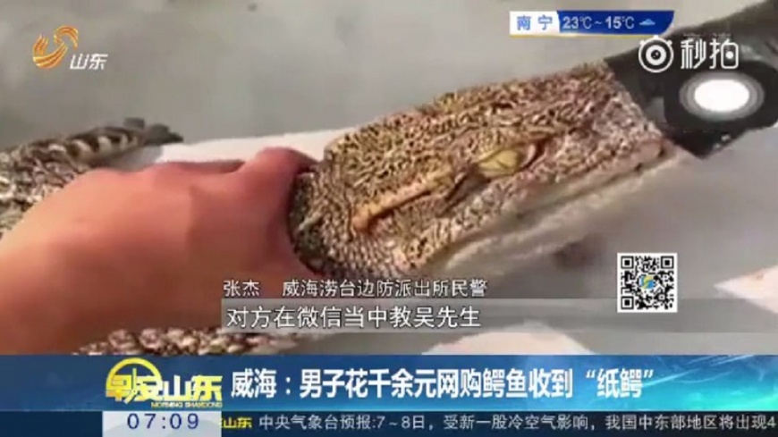 男花6800元網購鱷魚肉 開箱後卻驚見…