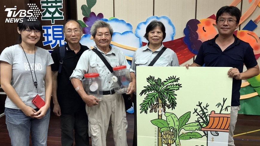 沙氏變色蜥大族群難根除 首防擴散