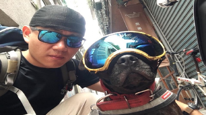 毛小孩罹惡性腫瘤 他帶愛犬環島30個月搏死神