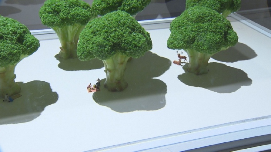 跑趴初體驗就中標 國三男肛門長滿菜花