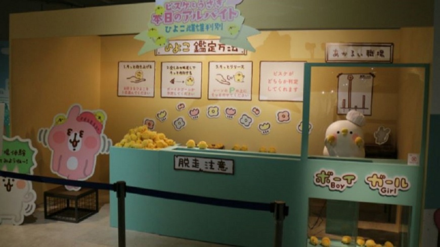 圖/飛躍提供、東映株式會社提供
