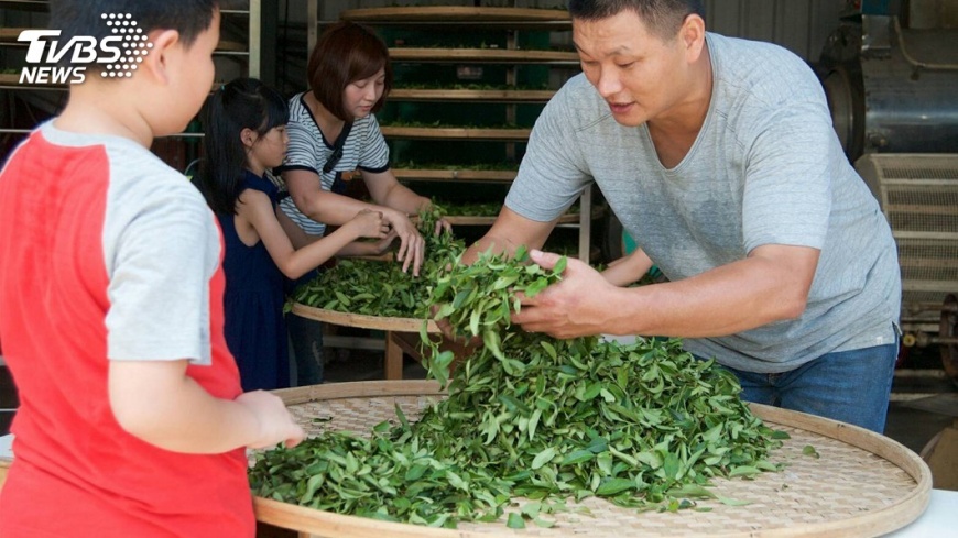 第四代茶農 冠軍茶師讓你重溫古早味技藝